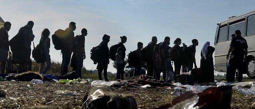 Flüchtlinge besteigen an der ungarischen Grenze einen Bus. Viele von ihnen geben ihr Schicksal auf dem Weg nach Europa in die Hand von Schleppern. 
