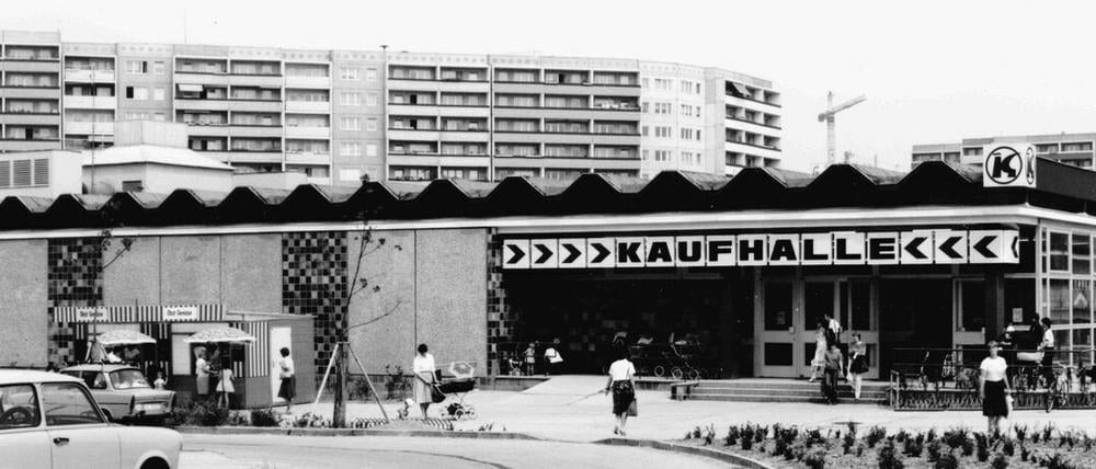 Neue Platte, neue Kaufhalle, neue Sträucher. Wird schon alles wachsen, oder?