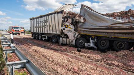Der mittlere der drei Lastwagen war mit Schlachtabfällen beladen. Die Bergungsarbeiten zogen sich deshalb in die Länge.