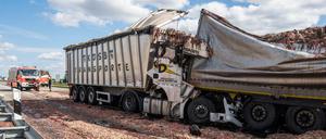 Der mittlere der drei Lastwagen war mit Schlachtabfällen beladen. Die Bergungsarbeiten zogen sich deshalb in die Länge.