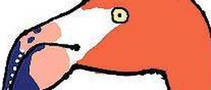 Zetert wie eine Gans: der Kubaflamingo.