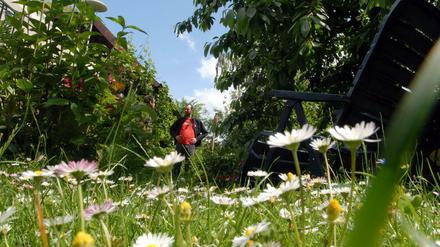 Herrliches Idyll. Berlins Kleingärten haben meist einen ganz wunderbaren Charme.