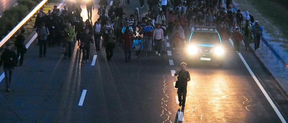 Flüchtlinge laufen auf der ungarischen Autobahn M5 in Richtung Budapest, nachdem sie zuvor aus einer Sammelstelle ausgebrochen sind.