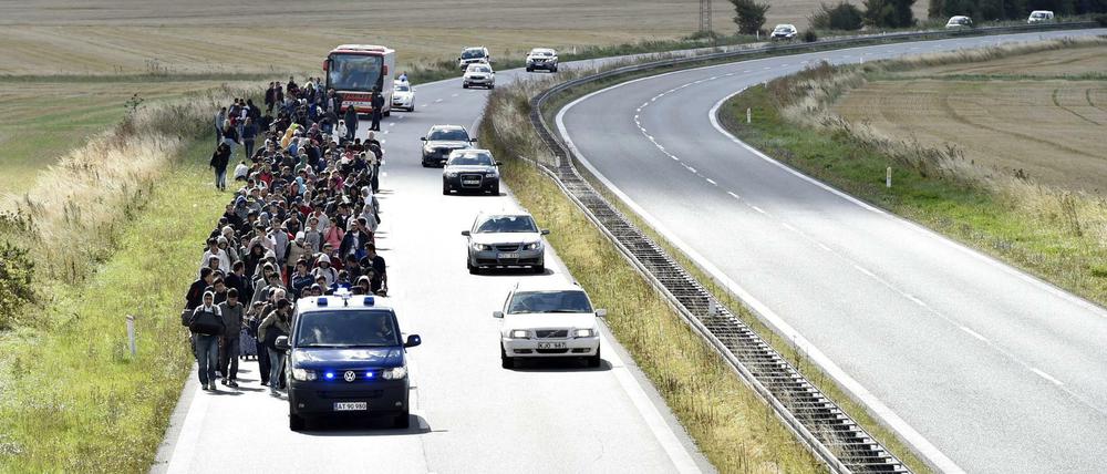 Eine Gruppe Flüchtlinge läuft auf einer dänischen Autobahn gen Norden. Sie wollen Schweden erreichen.