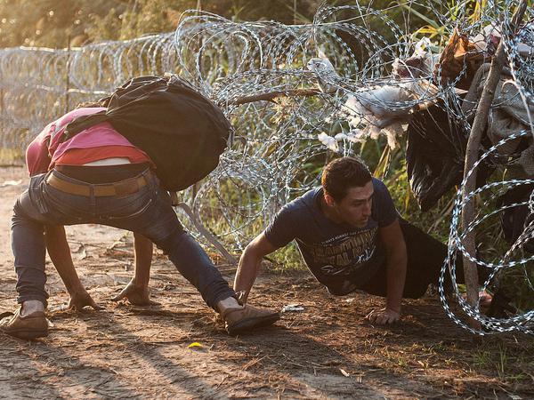 Flüchtlinge zwängen sich unter dem Grenzzaun zwischen Serbien und Ungarn durch. Der Zaun soll verbessert und schneller gebaut werden.
