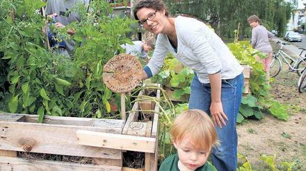 Grüner Daumen für Zehlendorf. Julia Käsmaier und Mitstreiter im Gemeinschaftsgarten Stewardstraße. 