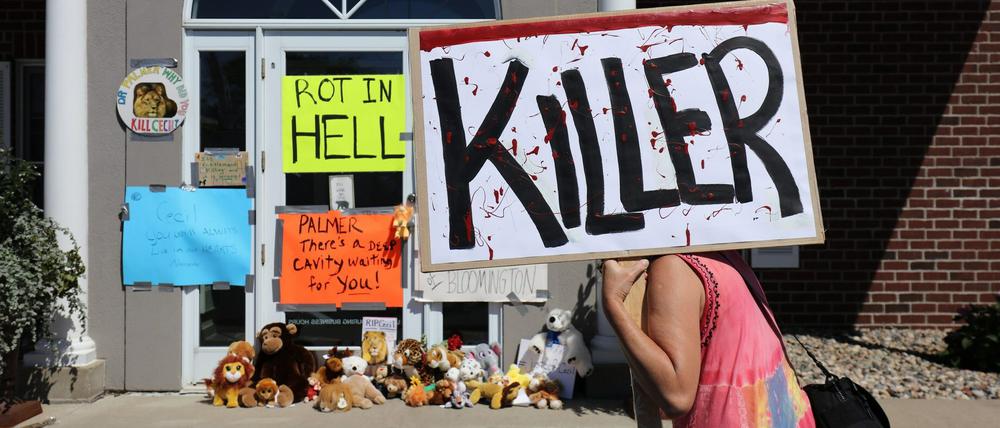 Die Praxis von Zahnarzt Walter Palmer in Bloomington am 29. Juli. Demonstranten haben den Eingang mit Schildern und Stofftieren blockiert. Nun will Palmer seine Praxis wieder aufmachen. 
