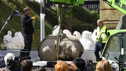 Da liegt das Ding! Der Lenin-Kopf wird in Spandau der Öffentlichkeit präsentiert - noch mit Augenbinde. 