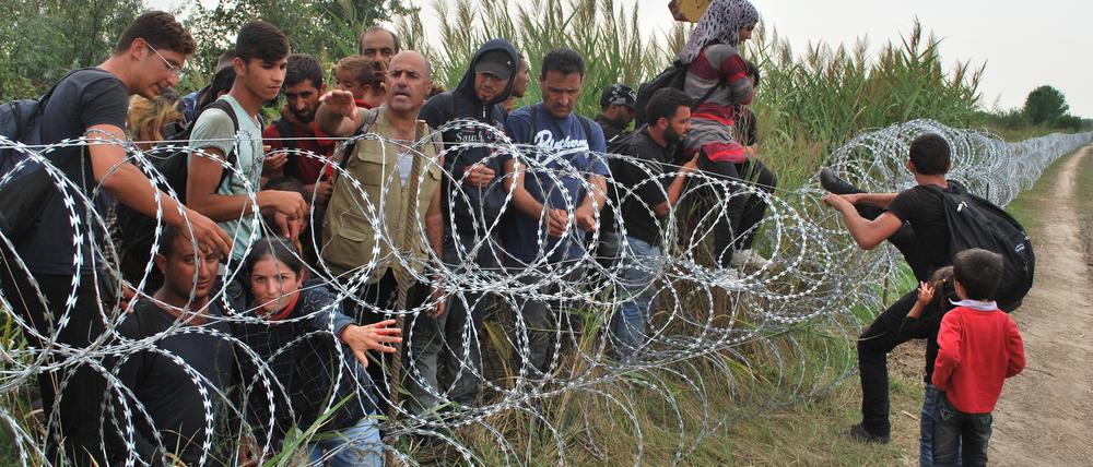 Syrische Flüchtlinge versuchen am 25.08.2015 von der serbischen Seite den Grenzzaun an der ungarisch-serbischen Grenze bei Röszke zu überwinden. 