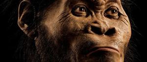 So könnte die Frühmenschenart Homo naledi laut einer Rekonstruktion anhand von Knochenfunden in einer südafrikanischen Höhle ausgesehen haben. .