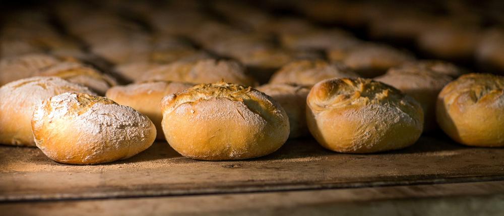 Jeden Tag verschwinden kleine Traditionsbäckereien. Mit einem Vier-Punkte-Plan wollen die Grünen gegensteuern.