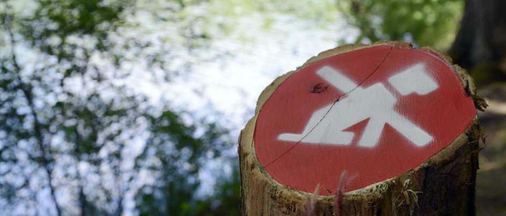 Das Hundeverbot an Zehlendorfer Seen ruft Obrigkeitsdenken hervor, findet unsere Autorin. Für sie ist der soziale Frieden im Wald wegen des Verbots gestört 