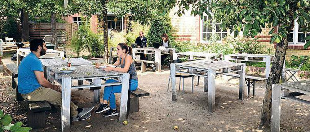 International sind Speisen und Belegschaft im Agora Collective.