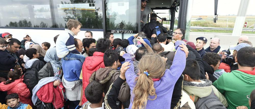 Flüchtlinge in Ungarn auf dem Weg nach Österreich.