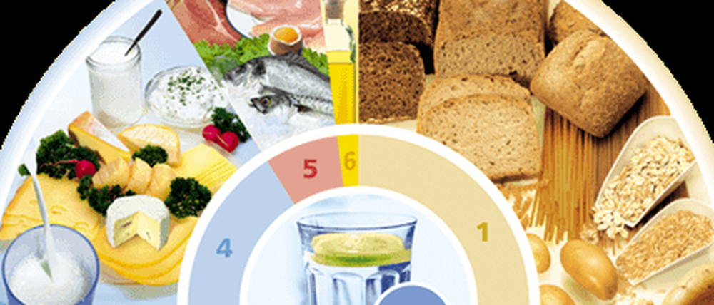 Wie gesunde Ernährung aussehen soll, versucht die Deutsche Gesellschaft für Ernährung mit ihrem "Ernährungskreis" zu erklären.
