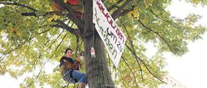Baumbesetzung. In der Crellestraße wollten Bürger im Oktober 2013 die Fällung von drei Linden für ein Wohnhaus verhindern. Am Ende aber konnten sie das Bauprojekt nicht stoppen.