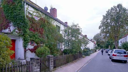 Eichkamper Idylle. Efeuberankte Häuser in ruhigen Wohnstraßen sind typisch für die 20er-Jahre-Siedlung. Beim Klimaschutz denken die Anwohner aber sehr modern.