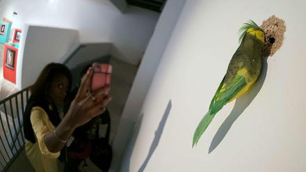 5 Tage voller Kunst: Unter anderem im KW Institute for Contemporary Art findet die Berlin Art Week statt.