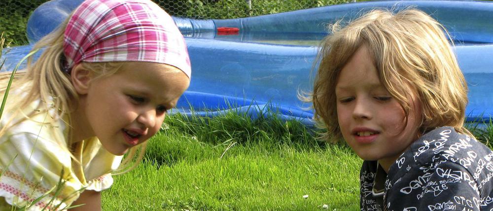 Kinder spielen mit einem jungen Nandu
