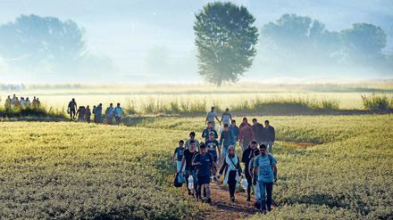 Richtung Hoffnung. Zu Tausenden versuchen Flüchtlinge aus Syrien, Afghanistan und Eritrea, sich nach Europa durchzuschlagen.