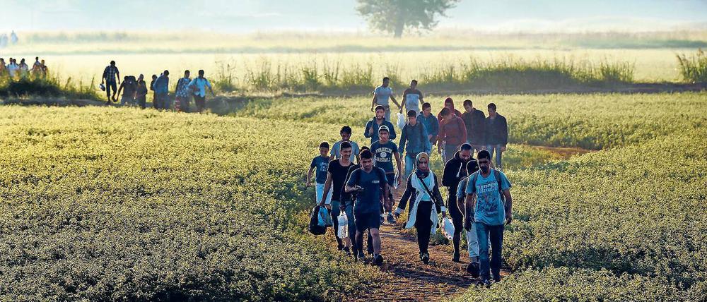 Richtung Hoffnung. Zu Tausenden versuchen Flüchtlinge aus Syrien, Afghanistan und Eritrea, sich nach Europa durchzuschlagen.