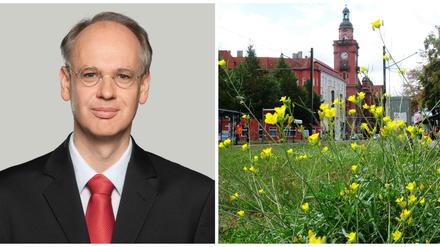 Sein Bezirk, sein Pankow: Matthias Köhne.