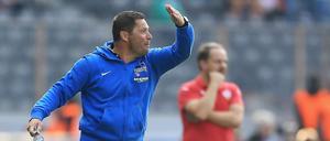 Vorwärts immer, rückwärts nimmer. Herthas Trainer Pal Dardai hält seine Mannschaft noch für zu ängstlich.