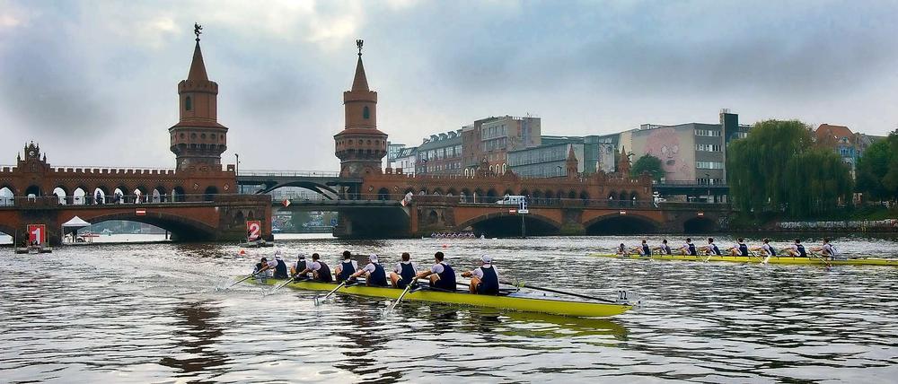 Malerisch. Rudern an der Oberbaumbrücke.
