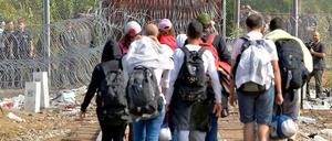 Flüchtlinge im Serbien warten vor dem ungarischen Grenzzaun. 
