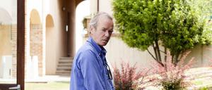 Der britische Schriftsteller Martin Amis