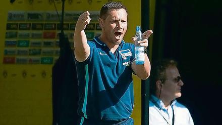 Gut gebrüllt, Trainer. Pal Dardai bei der Arbeit.