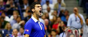 Novak Djokovic hat das Finale der US Open gegen Roger Federer gewonnen.