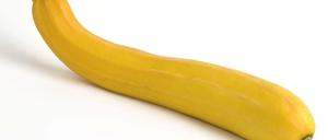 Ein Skandal: Zucchini wird auch immer süßer.