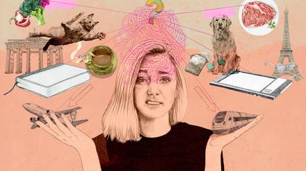 Paris oder Berlin? Hund oder Katze? Es ist zum Verrücktwerden.