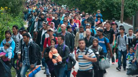 Flüchtlinge wandern in Ungarn Richtung Österreich.