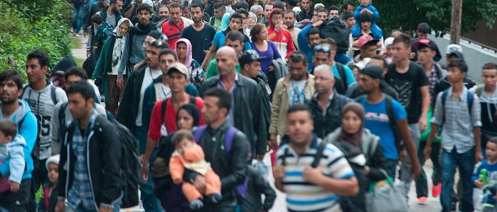 Flüchtlinge wandern in Ungarn Richtung Österreich.