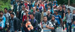 Flüchtlinge wandern in Ungarn Richtung Österreich.