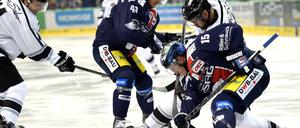 Am ersten Spieltag setzten sich die Eisbären gegen Nürnberg durch.