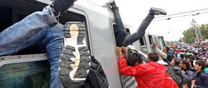 Flüchtlinge stürmen in Kroatien einen Zug nach Ungarn.