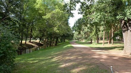 Die Panke im Bürgerpark. Die rechte Uferseite soll renaturiert werden.