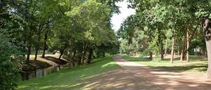 Die Panke im Bürgerpark. Die rechte Uferseite soll renaturiert werden.