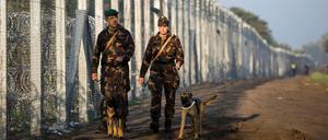Ungarische Soldaten patrouillieren in Röszke am Grenzzaun zu Serbien. 