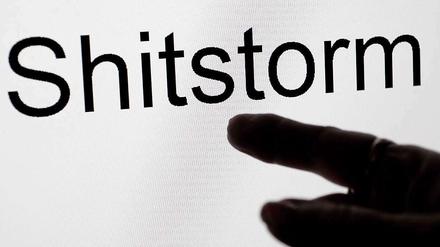 "Shitstorm" wurde kürzlich zum Anglizismus des Jahres 2011 gekürt. 