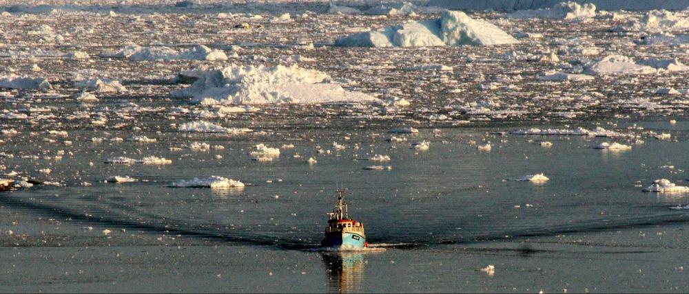 Fischerboot vor Grönland