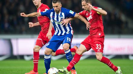 Zweikampfstark: Vedad Ibisevic behauptete viele Bälle.