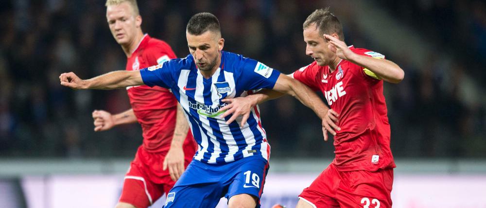 Zweikampfstark: Vedad Ibisevic behauptete viele Bälle.