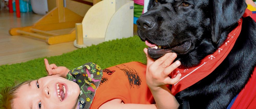 Glücksmoment. Der schwerbehinderte Luka (5) hat dank des Engagements von Tagesspiegel-Lesern jetzt seinen eigenen ausgebildeten Therapiehund Ole (2) bekommen. Der Labrador/ Retriever-Mix lernt jetzt auch, dem Jungen Socken auszuziehen - und er bringt den Jungen dazu, sich zu äußern, aus sich heraus zu gehen. Auch die Ausbilderin Selina Haase und die Mutter von Luka Janina Wegner sind glücklich.