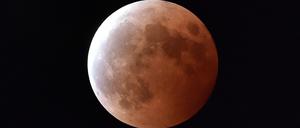 Das Blutmond-Spektakel am Himmel - hier aufgenommen am 8. Oktober 2014 in Tokio - soll am Montag in Europa zu sehen sein.