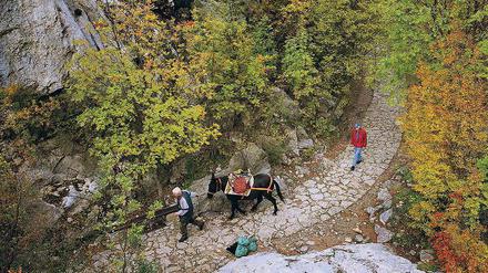 Unterwegs im Nationalpark Paklenica im Velebit-Gebirge. 