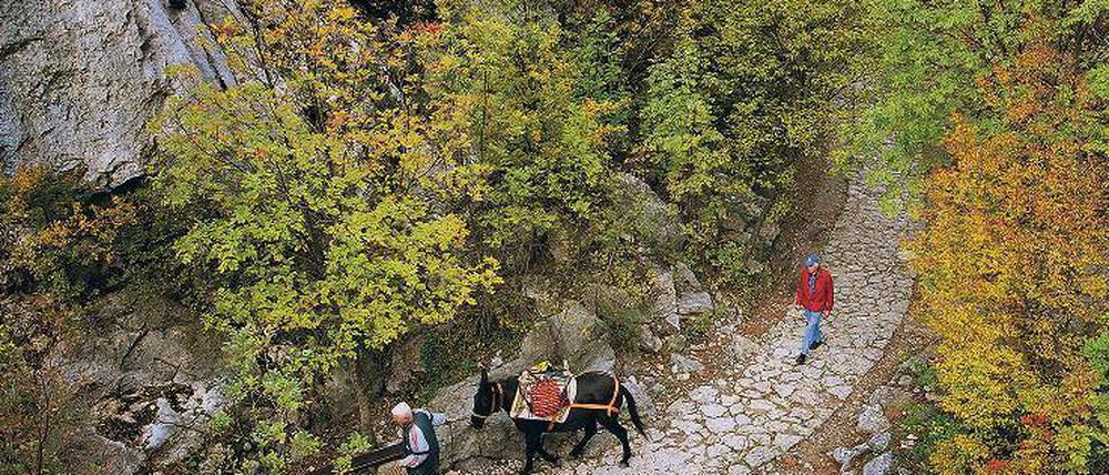 Unterwegs im Nationalpark Paklenica im Velebit-Gebirge.